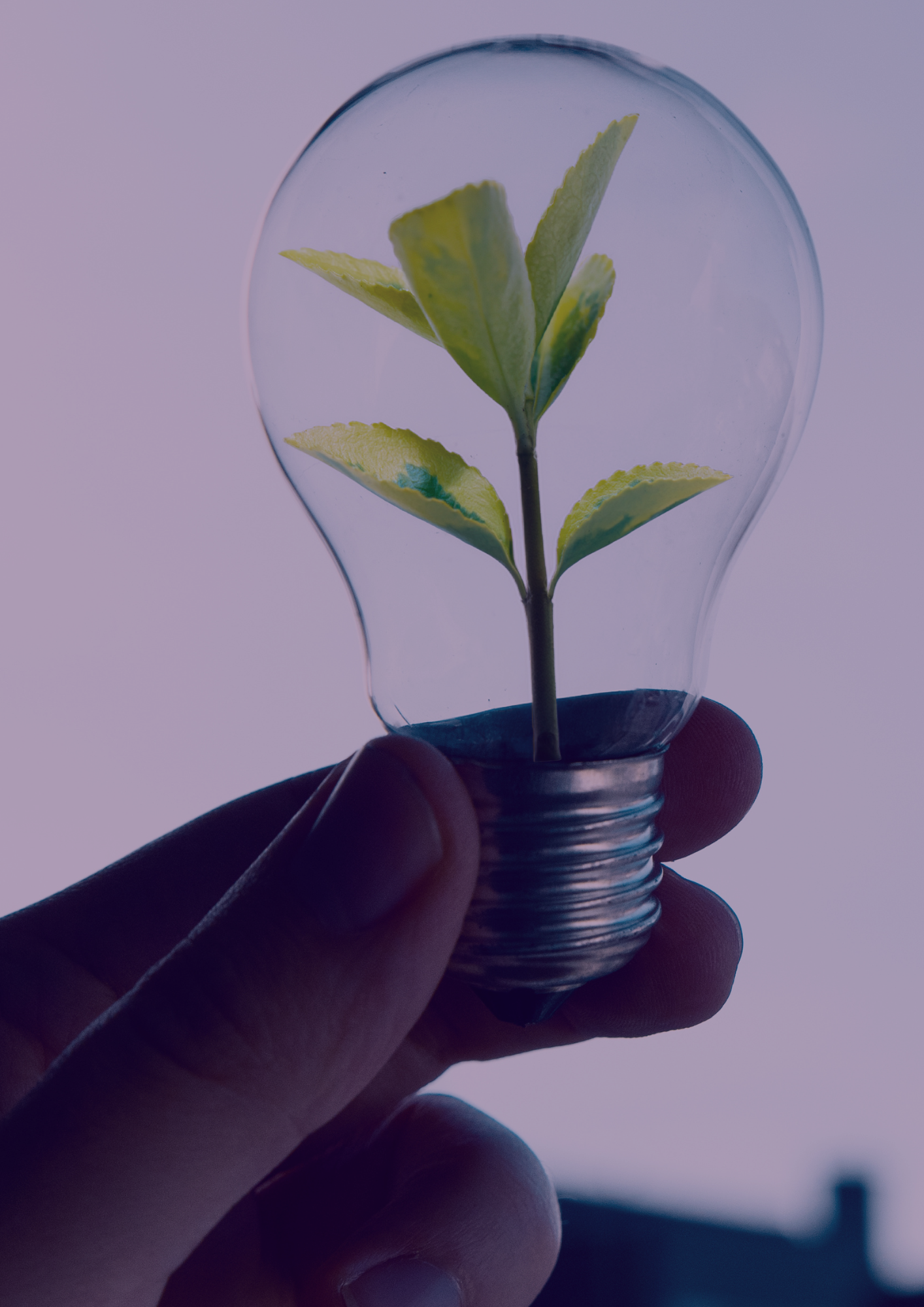 Gedreven door ontwikkeling